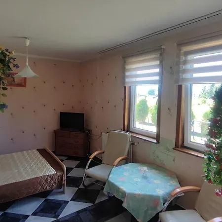 Goscinne Darek * Nowecin