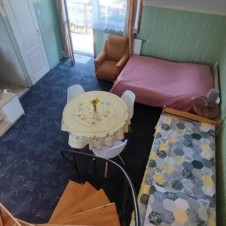 Goscinne Darek Nowecin