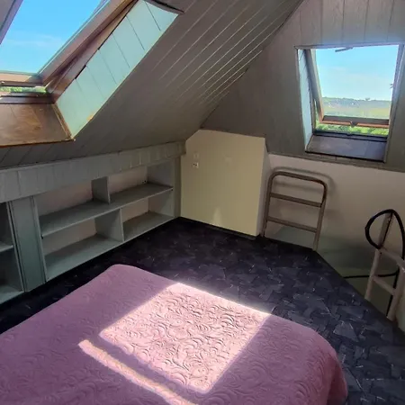 Goscinne Darek Nowecin