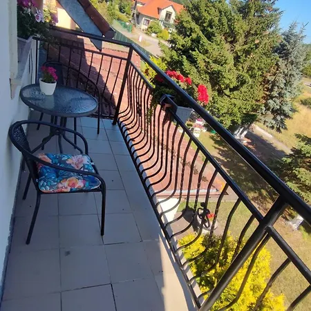 Pokoje Goscinne Darek * Nowecin