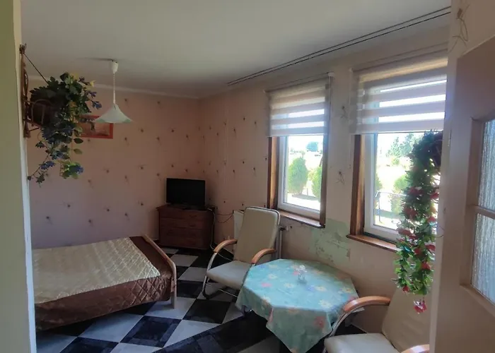 Goscinne Darek * Nowecin