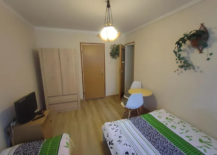 Goscinne Darek Nowecin