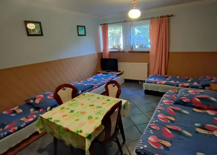 Goscinne Darek 民宿 Nowecin