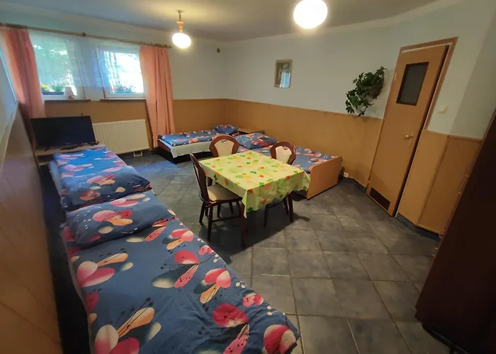 Goscinne Darek * Nowecin