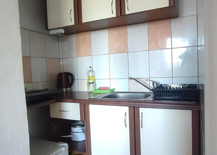 民宿 Goscinne Darek *