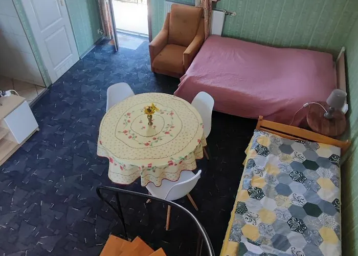 Goscinne Darek Nowecin