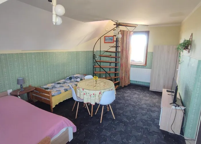 Goscinne Darek 民宿 Nowecin