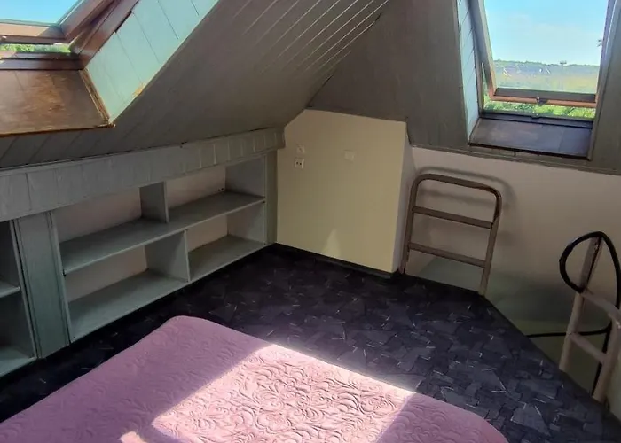 Goscinne Darek Nowecin