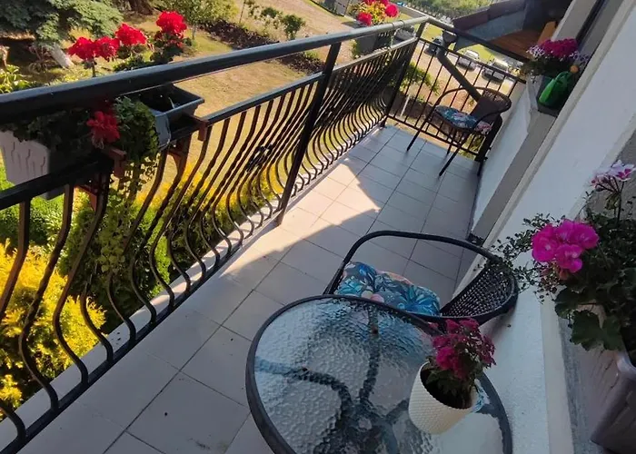 Goscinne Darek 民宿 Nowecin