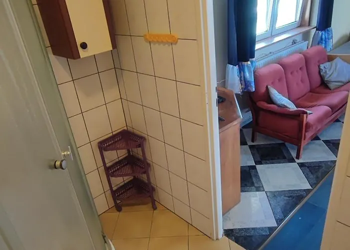 Goscinne Darek * Nowecin