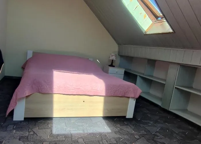 民宿 Goscinne Darek *