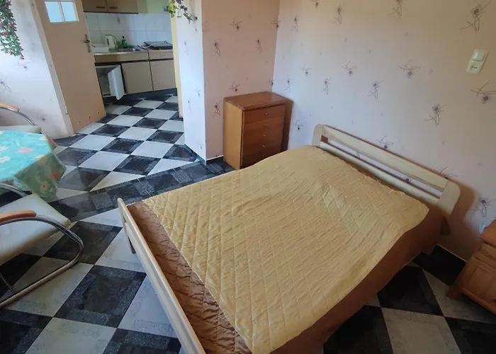 民宿 Goscinne Darek *