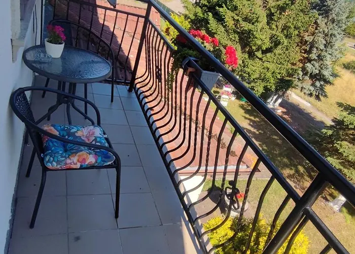 Goscinne Darek * Nowecin